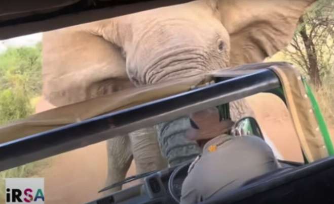 Βίντεο – Ν. Αφρική: Ελέφαντας προσπαθεί να αναποδογυρίσει λεωφορείο με τουρίστες σε σαφάρι