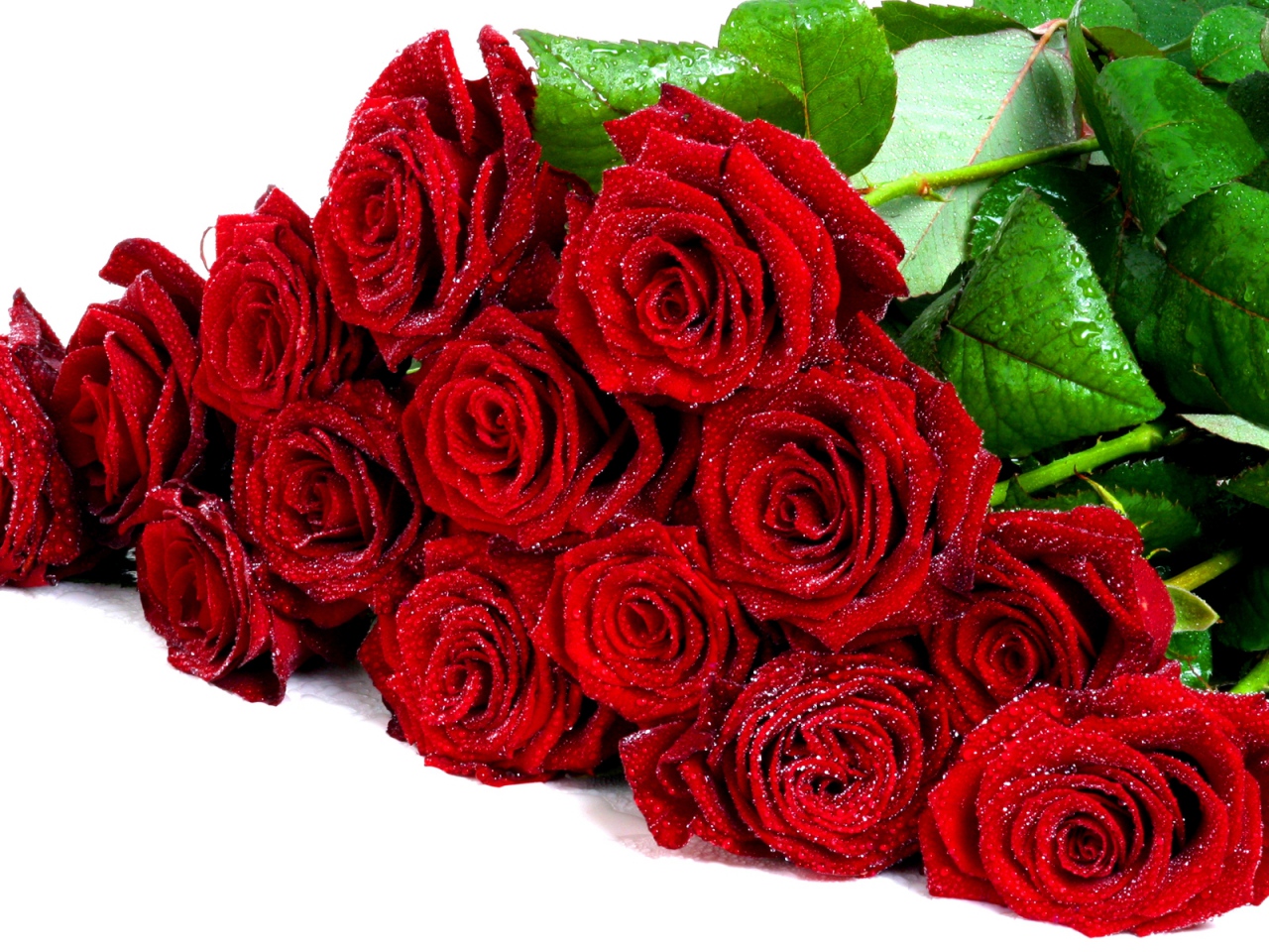 roses flowers bouquet red elegant drops