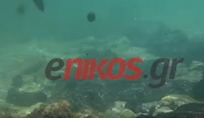 Οι πρώτες υποβρύχιες εικόνες από την Σαλαμίνα - ΒΙΝΤΕΟ