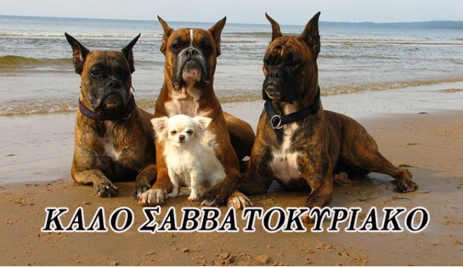 Ζώδια: Πως θα περάσεις το διήμερο; (20/06-21/06)