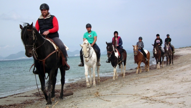 Κέντρο Θεραπευτικής Ιππασίας Κω &quot;Erikas Horse Farm&quot;