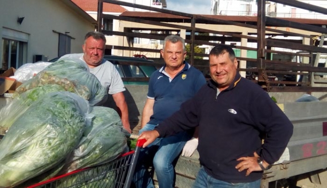 Προσφορά Λαχανικών από το Περιφερειακό Φυτώριο