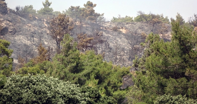 Εσβησε η πυρκαγιά ανάμεσα στα Μαριτσά και τη Δαματριά.