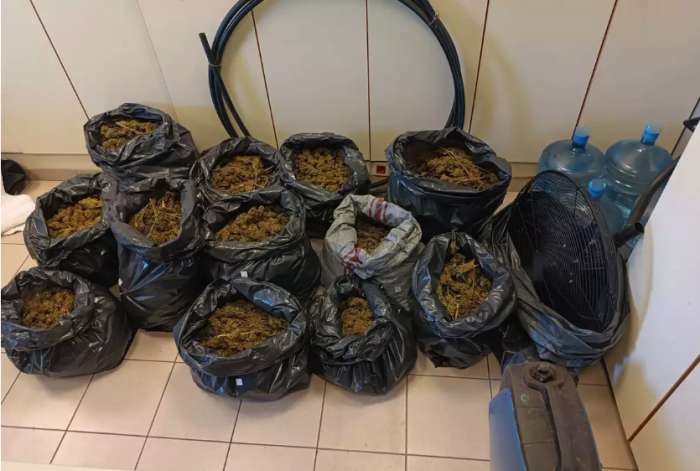 Έφτασε στο αεροδρόμιο «Ελευθέριος Βενιζέλος» με 38 κιλά κάνναβη που έφερε από την Ισπανία