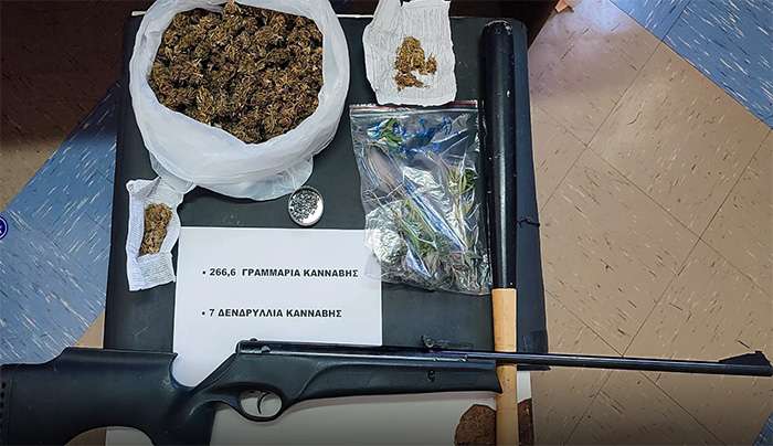 Συνελήφθη 61χρονος στη Ρόδο για διακίνηση ναρκωτικών, καλλιέργεια κάνναβης και οπλοκατοχή