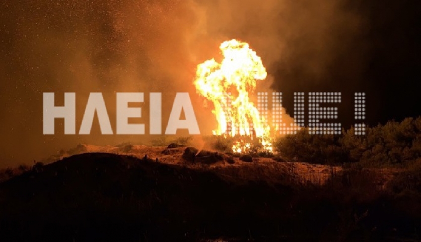Νύχτα εφιάλτης στην Στροφυλιά: Μάχη με τις φλόγες στο προστατευόμενο δάσος