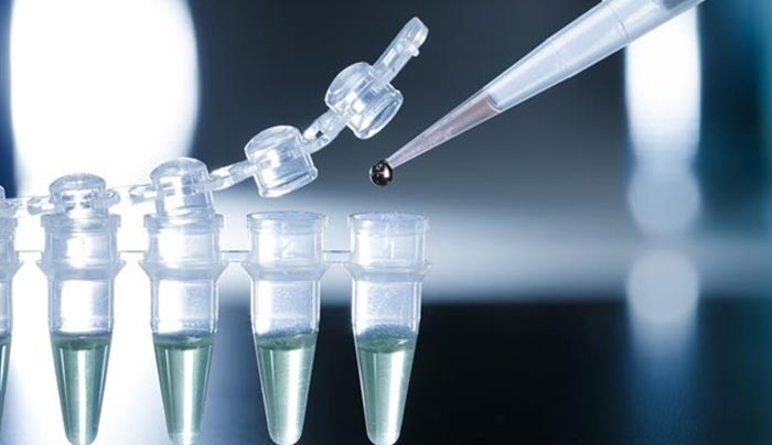 Τέλος στα σφραγίσματα θα βάλουν τα βλαστοκύτταρα
