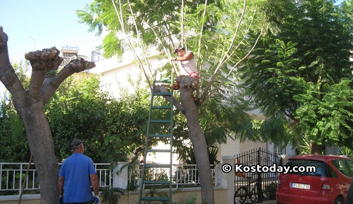 Δήμος Κω: Προγραμματισμένες εργασίες από Δευτέρα 04-09-2017 έως Παρασκευή 08-09-2017