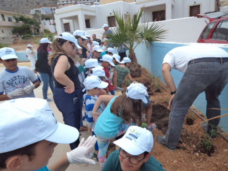 Με μεγάλη επιτυχία πραγματοποιήθηκε το πρώτο Φεστιβάλ τοπικής γαστρονομίας στην Αρκάσα της Καρπάθου