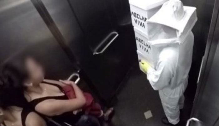 Πρωταπριλιάτικη φάρσα: Κλεισμένοι στο ασανσέρ με άγριες μέλισσες (Video)