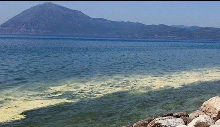 Το έστρωσε… με γύρη σε όλη την χώρα