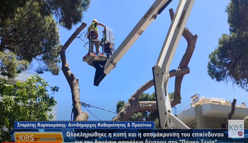 Ολοκληρώθηκε η κοπή κι η απομάκρυνση του επικίνδυνου για τη δημόσια ασφάλεια δέντρου στο Πάρκο Ξενία