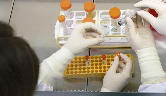 Ερευνα ΕΚΠΑ: Τα κύτταρα επικοινωνούν με το περιβάλλον τους