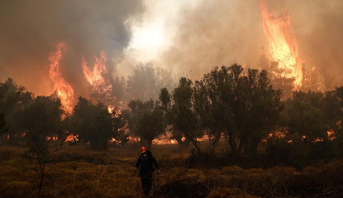 Πύρινος εφιάλτης στα Δερβενοχώρια - Μάχη με τις αναζωπυρώσεις