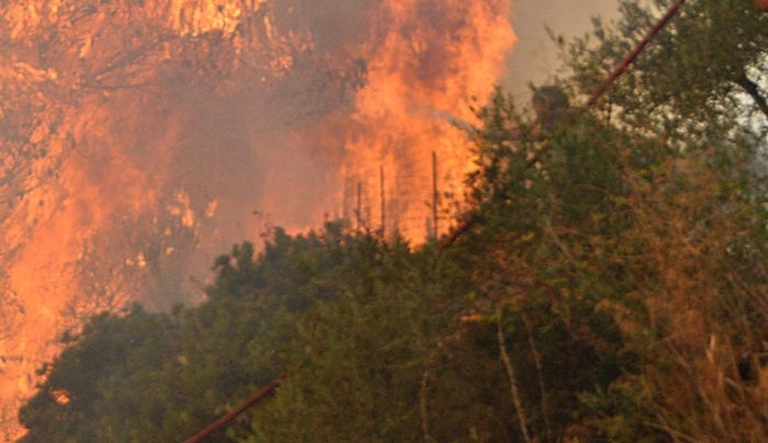 Μαίνεται η πυρκαγιά στην Ζάκυνθο σε 4 μέτωπα – Κάηκαν σπίτια