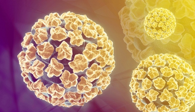 Νέα στοιχεία για τον τρόπο μετάδοσης του HPV