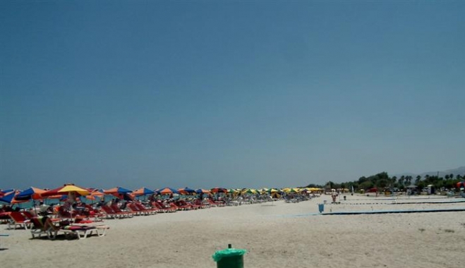 Επιχείρηση σύλληψης αλλοδαπών και διακινητή στην Αλυκή
