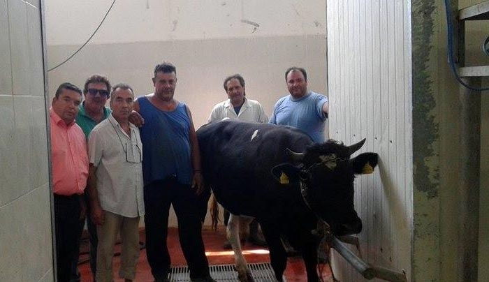 Θρησκευτική τελετή σφαγής για τον εορτασμό του «Κουρμπάν Μπαϊράμι» στα σφαγεία της Περιφέρειας