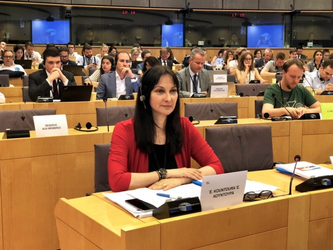 Η Έλενα Κουντουρά διεκδικεί από τη Φινλανδική Προεδρία την κατάρτιση ειδικού προϋπολογισμού για τον Τουρισμό στην ΕΕ και δίκαιη προσαρμογή των Μεταφορών στους κλιματικούς στόχους για όλα τα Κράτη και τις κοινωνικές ομάδες