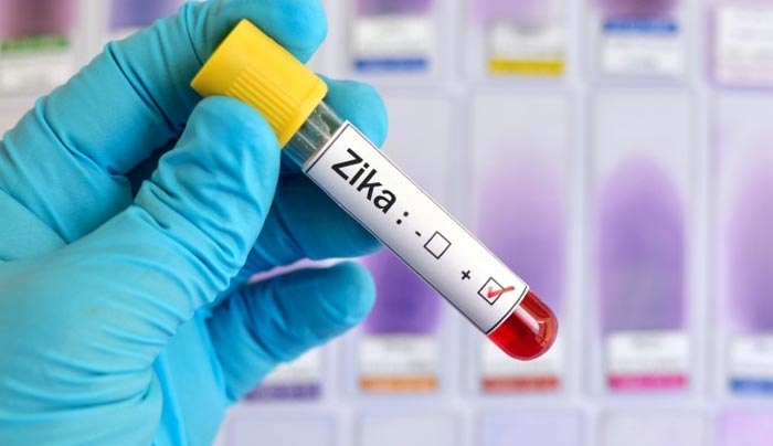 Παγκόσμιος συναγερμός για την εξάπλωση του Ζίκα- Ο κίνδυνος για την Ελλάδα-ΒΙΝΤΕΟ