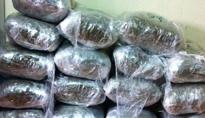 Βρέθηκαν πάνω από 370 κιλά χασίς σε φορτηγό - ψυγείο στο λιμάνι της Πάτρας