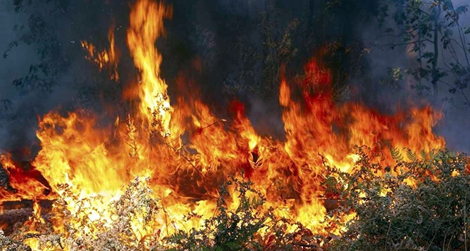 ΠΡΟΣΟΧΗ: Πολύ Υψηλός Κίνδυνος πυρκαγιάς την Παρασκευή. Δείτε τον χάρτη.