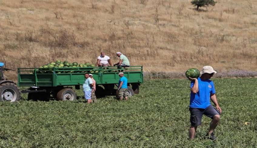 Γεωργαντάς: Έκτακτες ενισχύσεις σε αγρότες και κτηνοτρόφους