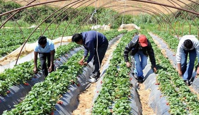 Την «πλήρωσε» ακριβά την… Μανωλάδα η Ελλάδα!-Καταδίκη-κόλαφος