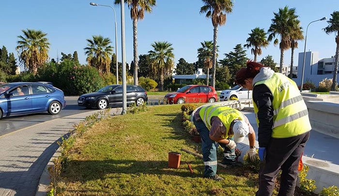 Εκτεταμένες εργασίες καθαρισμού και καλλωπισμού στο νησί μας (φωτό)