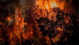 Πολύ υψηλός κίνδυνος πυρκαγιάς σήμερα στις Περιφέρειες Κρήτης και Νοτίου Αιγαίου