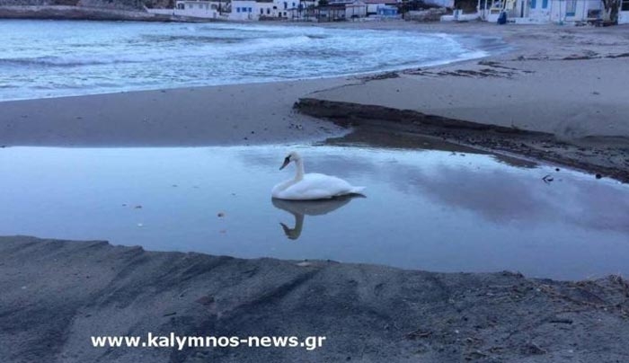 Μία διαφορετική επίσκεψη σήμερα Τρίτη στη Ψέριμο!!!