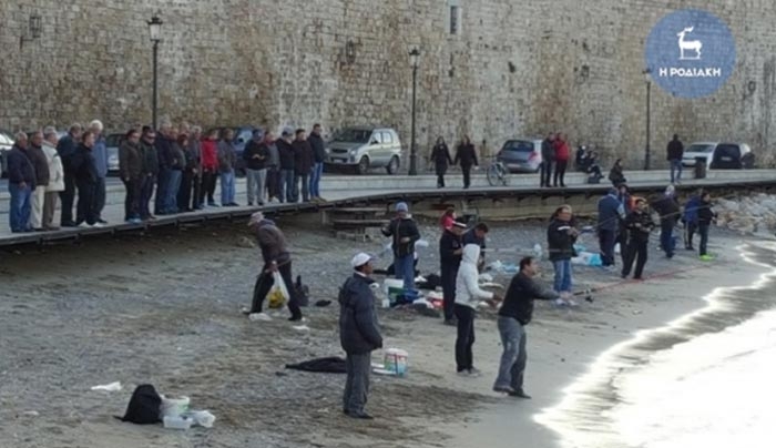 Χιλιάδες τσιπούρες στο τουριστικό λιμάνι της Ρόδου - ΒΙΝΤΕΟ