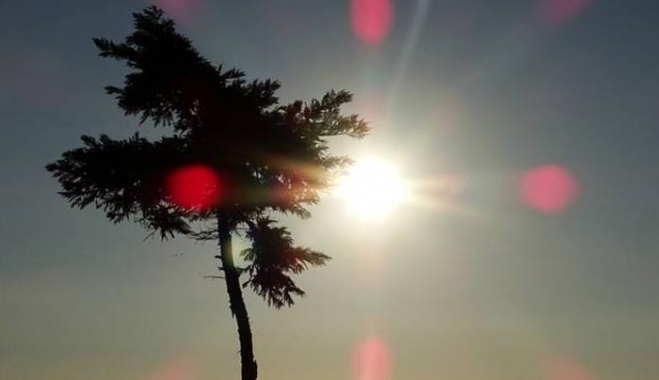 Αλκυονίδες μέρες το Σαββατοκύριακο - Ήλιος και υψηλές θερμοκρασίες