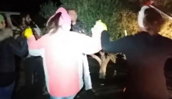 Κρήτη: Μαζεύουν ελιές με χορούς, τραγούδια και άφθονη ρακί [BINTEO]