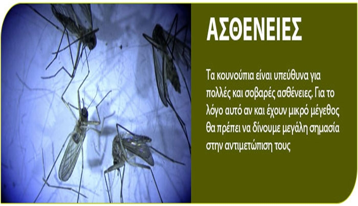 Καλοκαιρίαζει και ξέρετε ποιοι έρχονται; -Πριν τα καλωσορίσματα προφυλάξου!!!