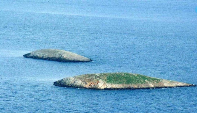 Τουρκικά ΜΜΕ γράφουν για… θερμό επεισόδιο στα Ίμια