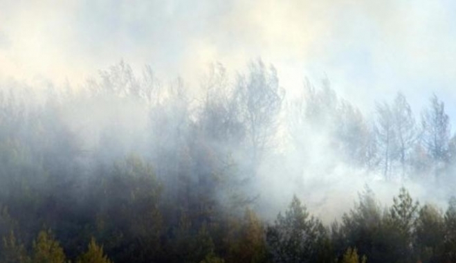 Πυροσβέστης έπεσε νεκρός στη μεγάλη φωτιά της Βοιωτίας! Θρήνος στο Πυροσβεστικό Σώμα