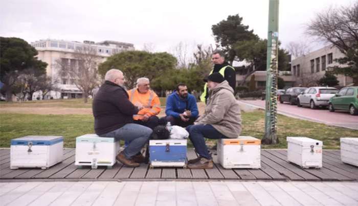 Στο Σύνταγμα οι μελισσοκόμοι την Πέμπτη - Πώς θα φτάσουν
