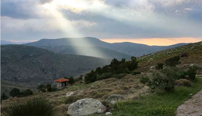 Ακαθάριστα οικόπεδα: Έως πότε δόθηκε η νέα παράταση στους πολίτες