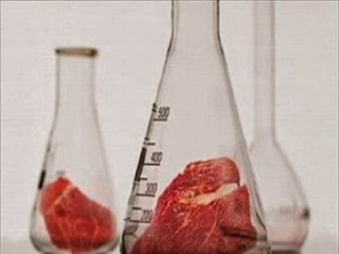 Σύντομα θα γευτούμε το κρέας του «σωλήνα» από βλαστοκύτταρα!
