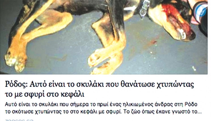 Καταδίκη τριών νεαρών για κακοποίηση ζώου, μετά από ανάρτηση στο facebook