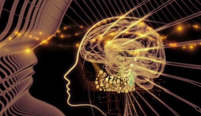 Τι κάνει το LSD στον εγκέφαλο – Μια μοναδική έρευνα (ΒΙΝΤΕΟ)