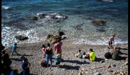 Βόλος: Φίδι τσίμπησε γυναίκα μέσα στη θάλασσα