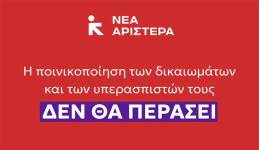 Νέα Αριστερά: Στο πλευρό των ακτιβιστών Παναγιώτη Δημητρά και Tommy Olsen