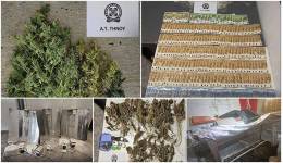 Συνελήφθησαν δύο ημεδαποί για κατοχή – καλλιέργεια κάνναβης στην Τήνο